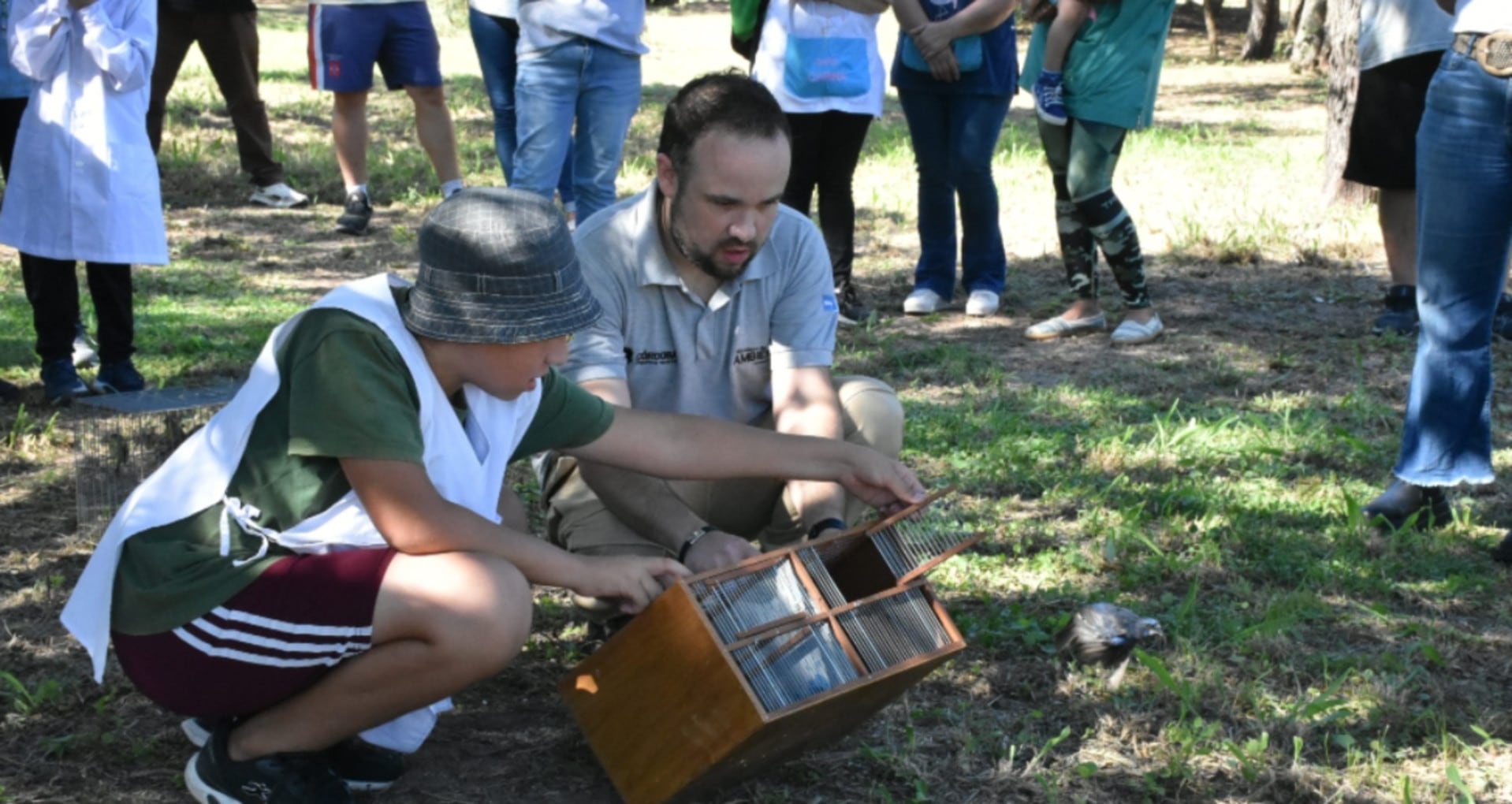 Un joven y un especialista liberan un animal silvestre de una jaula en un evento de reinserción de fauna en Córdoba, con la presencia de observadores (Gobierno de Córdoba)