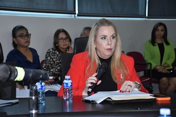 Elisa Suárez, representante del sector construcción de la Asociación Panameña de Ejecutivos de Empresa (Apede), afirmó que algunos proyectos deben completar más de 80 trámites en al menos 15 instituciones antes de iniciar obras. Tomada de la AN