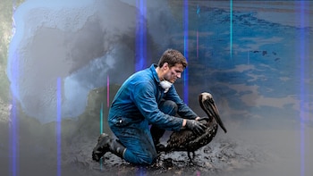 Urgente plan de recuperación y regeneración para el Golfo de México a casi dos meses del derrame de petróleo, exigen organizaciones ambientales