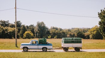 Una razón por la que