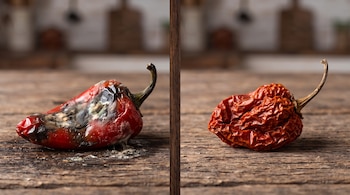 Un chile rojo con moho a la izquierda y un chile rojo seco y arrugado a la derecha, colocados sobre una mesa de madera.