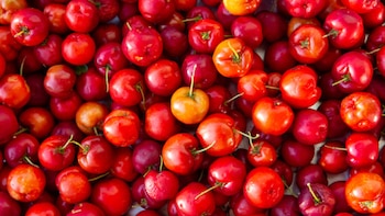 Oro rojo: la fruta que