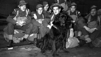 Gander con los Royal Rifles