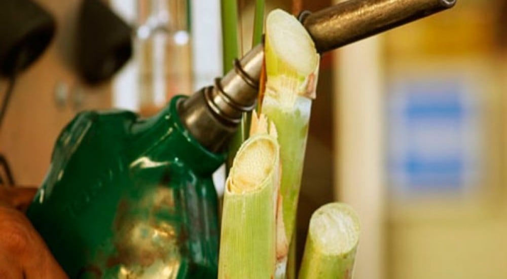 El bioetanol se produce a partir de la caña de azúcar (Revista Chacra)