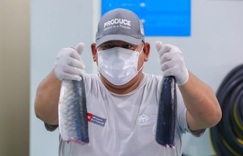 Las verificaciones en laboratorios de