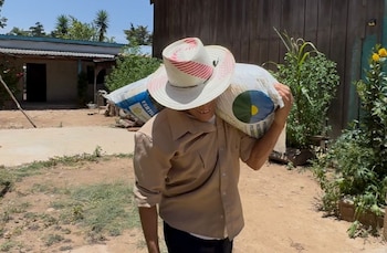 La asistencia por la sequía también incluyó al sector ganadero para evitar pérdidas por la falta de alimento para el ganado.