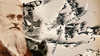 La línea fue propuesta por