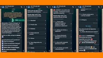 EsSalud creó el chatbot 'Contra el Dengue' para detectar los casos de la enfermedad de forma rápida y en cualquier parte del Perú. (Foto: EsSalud)
