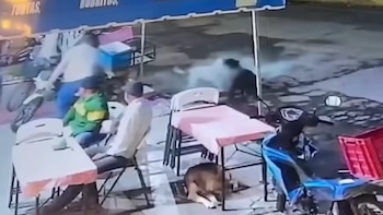 Lo identificaron en redes: el hombre que salió de su negocio en Michoacán a quemar vivos a dos perros callejeros
