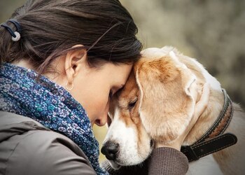 Cuando se produce la falta