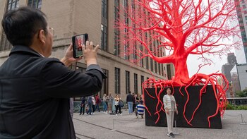 Una persona toma una foto