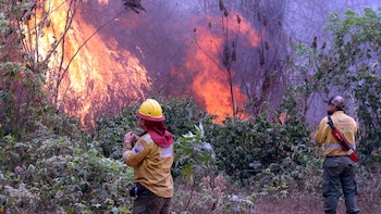 Incendios forestales en Bolivia: la