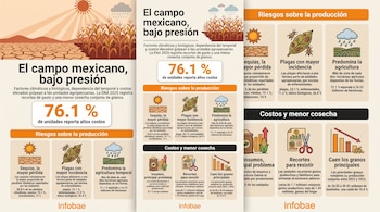 Infografía con datos estadísticos e ilustraciones sobre sequías, plagas e insumos en el sector agrícola de México con el logotipo de Infobae.