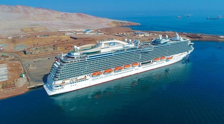 También se evaluó agilizar el registro migratorio de turistas que llegan en cruceros, como parte de las medidas para facilitar su ingreso al Perú. Foto: Asociación Peruana de Agentes Marinos