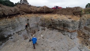 La capa de ceniza Lepué,