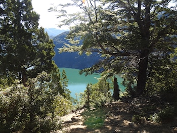 En lago verde abundan las