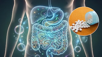 Cómo recuperar la microbiota intestinal después de tomar antibióticos, según Harvard