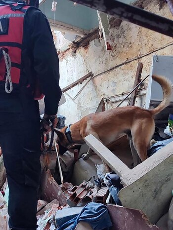 Dunkell en pleno accionar (Fuente)