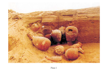 Cerámica hallada en las excavaciones