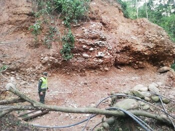 Los daños a la zona,