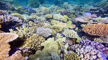 El Caribe enfrenta la mayor