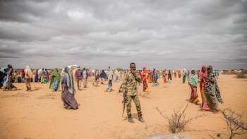 EEUU suspende los programas de