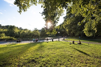 El gran espacio verde de Brooklyn reúne a corredores, ciclistas, familias y visitantes durante todo el año.