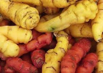 Uno de los platos más