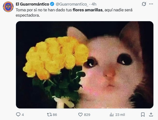 (Redes sociales)