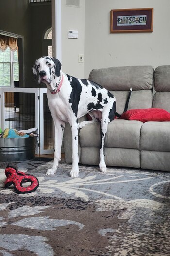 Las reacciones en la comunidad