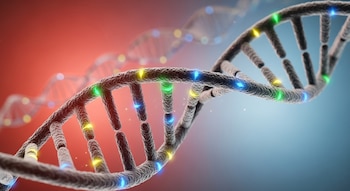 Representación de una doble hélice de ADN con segmentos resaltados en varios colores, simbolizando la diversidad genética y las mutaciones en la secuencia.