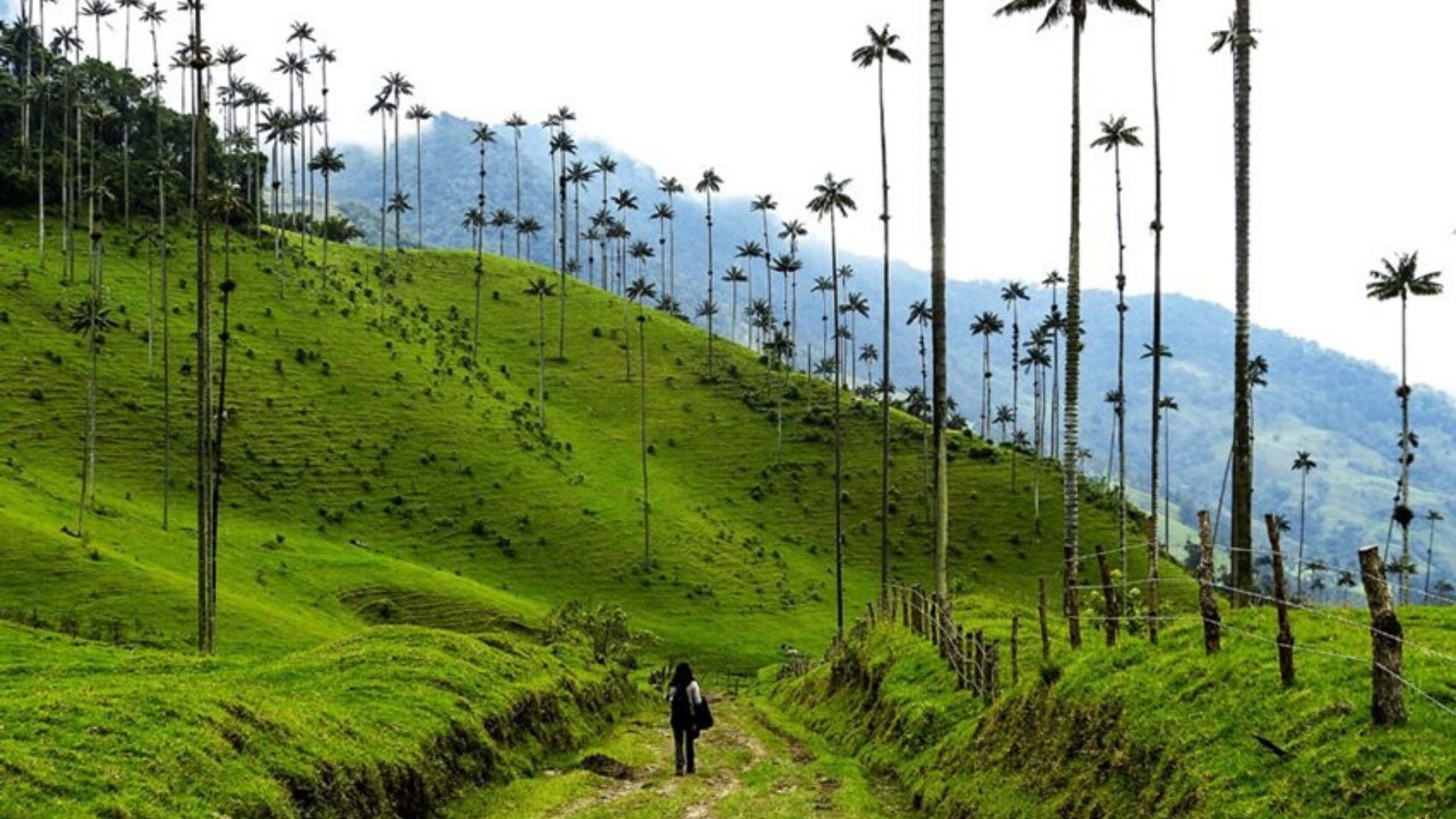 De la selva de Ciudad Perdida al mar de Providencia: las 14 experiencias en Colombia que recomienda Lonely Planet