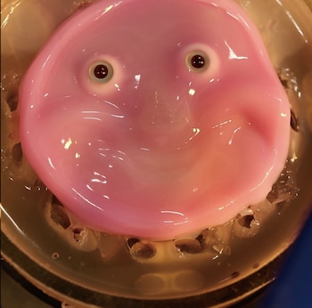 Una imagen de Shoji Takeuchi