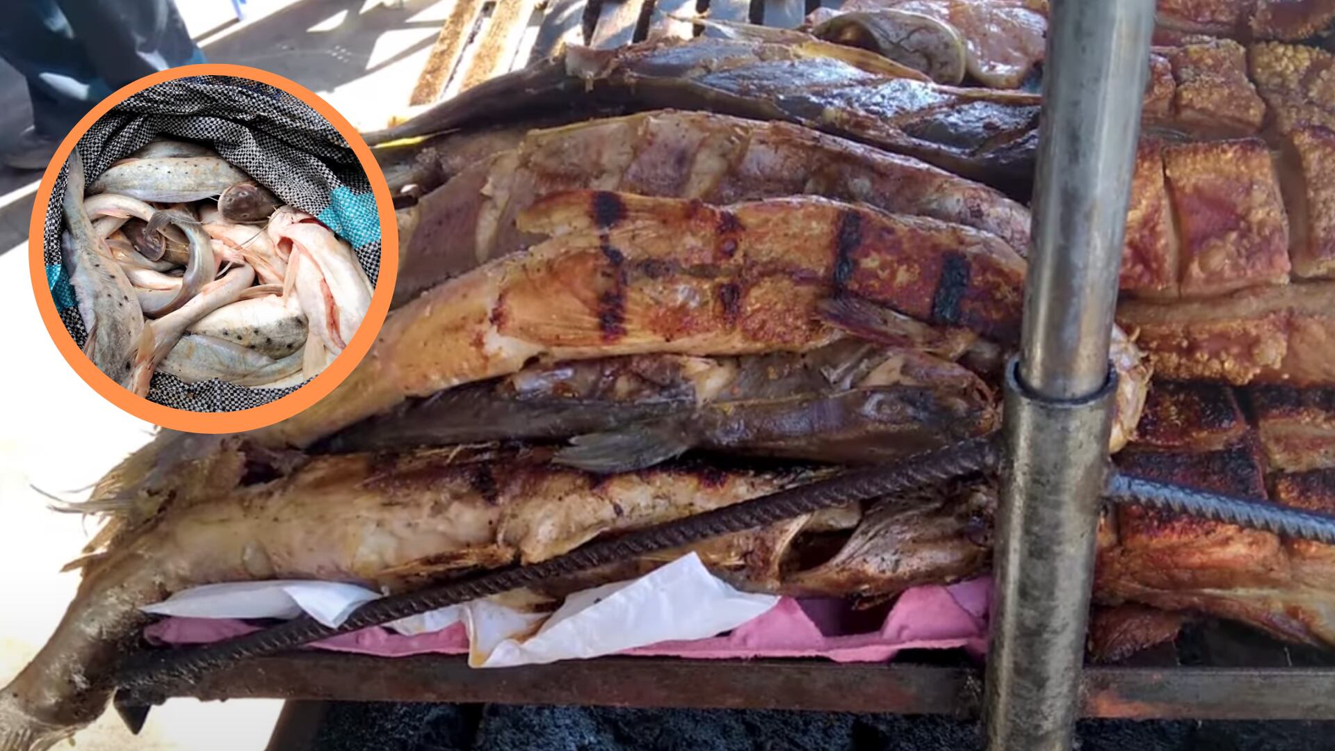 Mota punteada fue retirada por tener mercurio en niveles dañinos, consecuencia directa de la minería ilegal en los ríos. (Composición: Infobae / Andina)