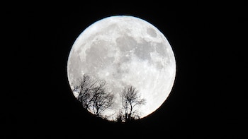 Luna de Ciervo hoy 29 de julio: a qué hora se iluminará el cielo de tono plateado y desde dónde será visible
