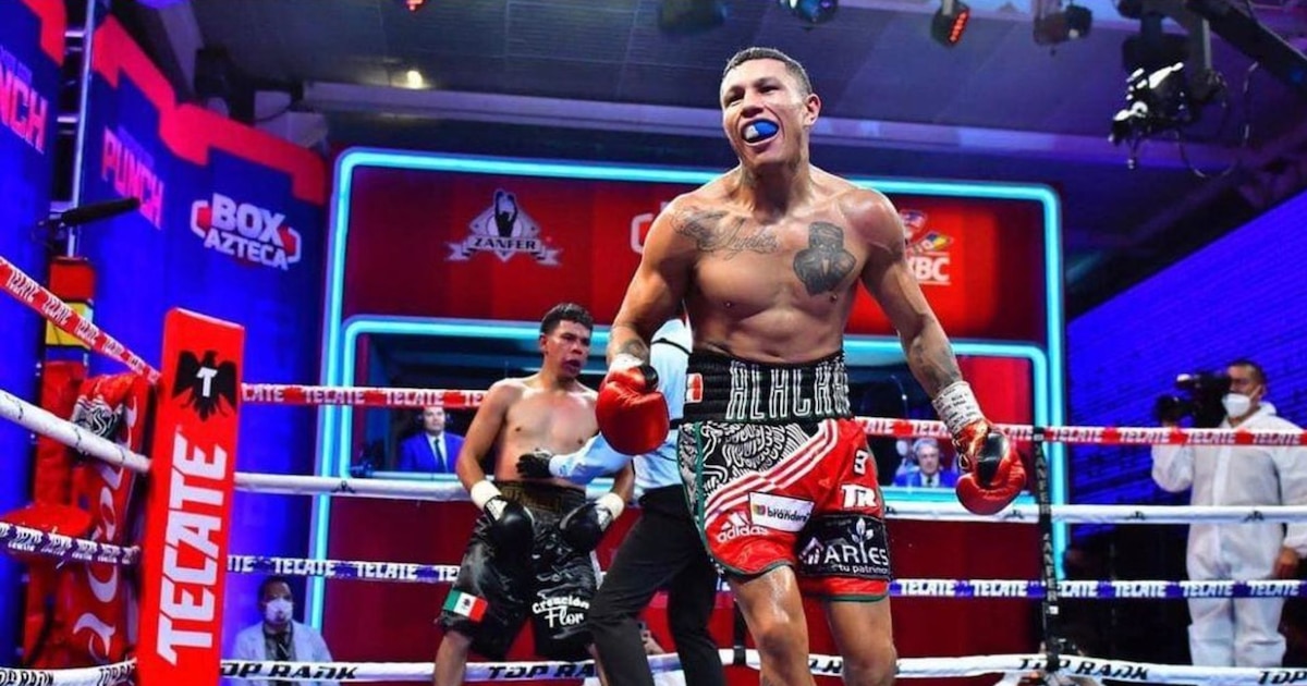 Miguel “Alacrán” Berchelt vs Edixon Pérez: cuándo, dónde y a qué hora ...