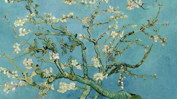 Belleza, inteligencia e insumisión: un