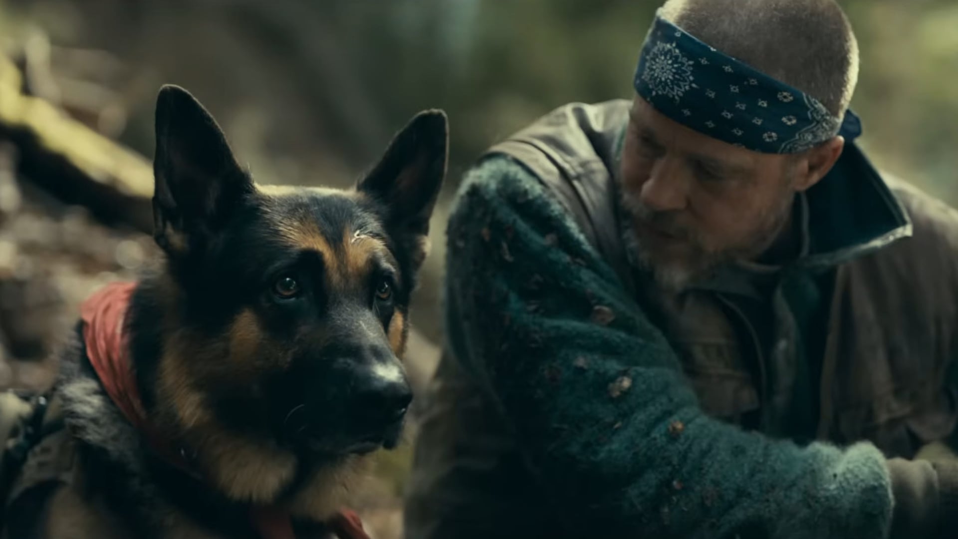 La nueva colaboración entre el director David Ayer y el actor Brad Pitt es un thriller de supervivencia en un entorno hostil