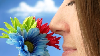 Su estrategia necesita una metáfora