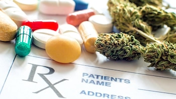 Gobierno panameño activa nuevos registros para usuarios de cannabis terapéutico