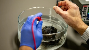 Científicos exploran el fondo oceánico