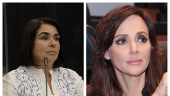 Senadora de Morena golpeou Lilly