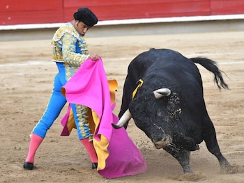 Empresarios aseguraron que no acatarán