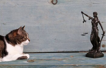 La Corte Constitucional de Colombia