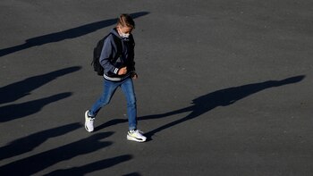 Por qué el sistema inmunológico