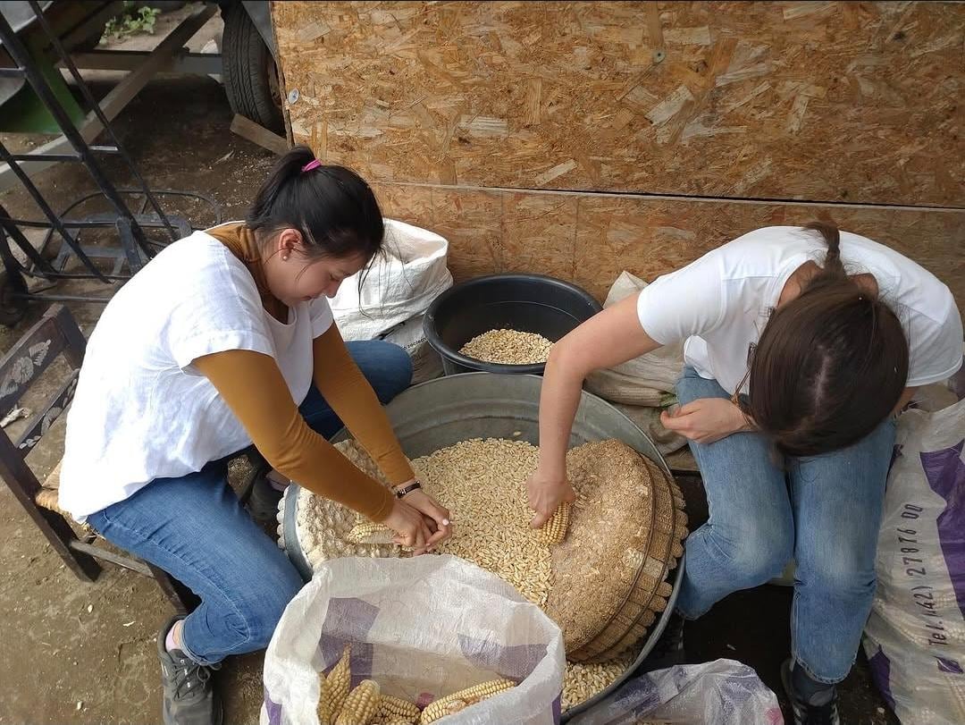 El proceso diario de nixtamalización en Komal Molino inicia a las cuatro de la mañana y conserva la autenticidad de los sabores ancestrales del maíz mexicano (@PincheFatima_ en Instagram)