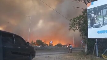 Un incendio forestal días atrás