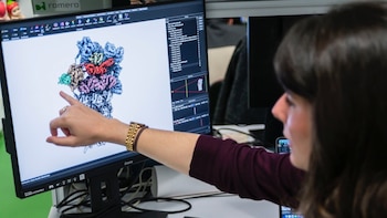 Hallan un mecanismo que permite