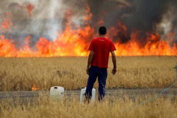 Un pastor observa un incendio