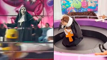 Disfrazaron a perro de la